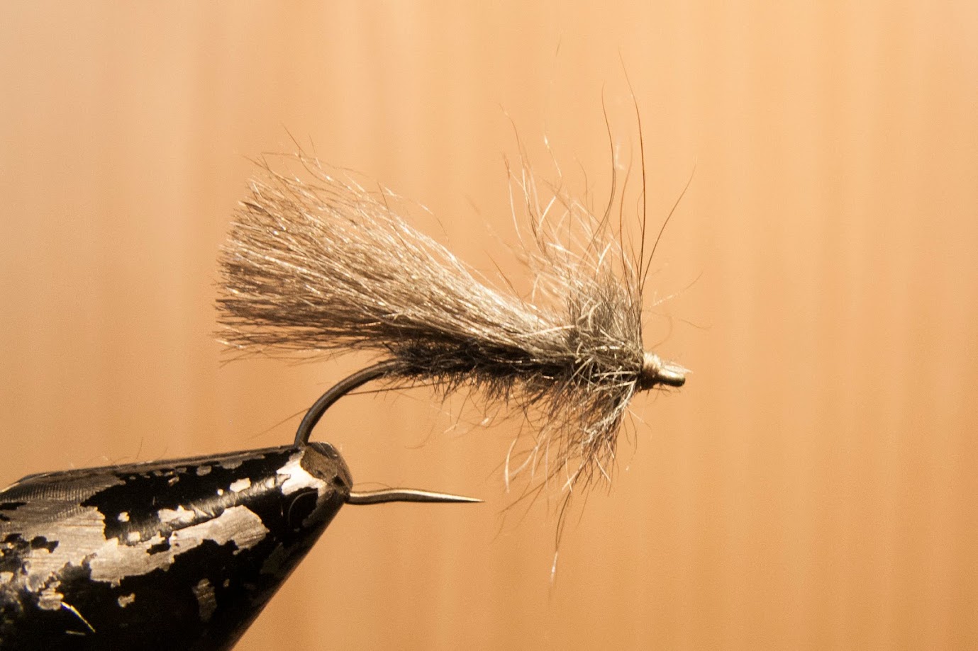 Grey-Sedge Grey Sedge