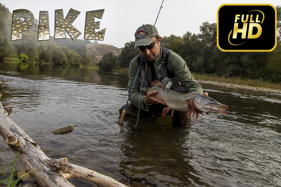 Pike-Yantra-Streamer