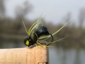 ZlostarBlackAdder-InAction-2