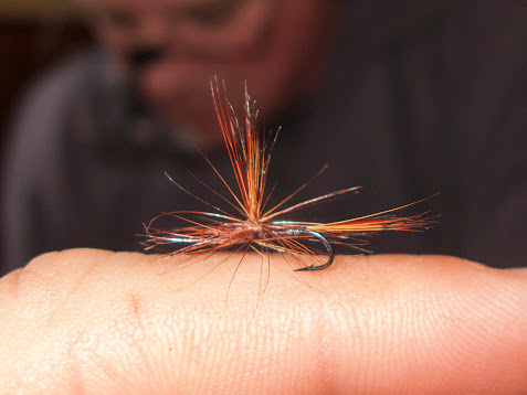 bezotkaznata-may-fly-d-r-kosio-bratanov