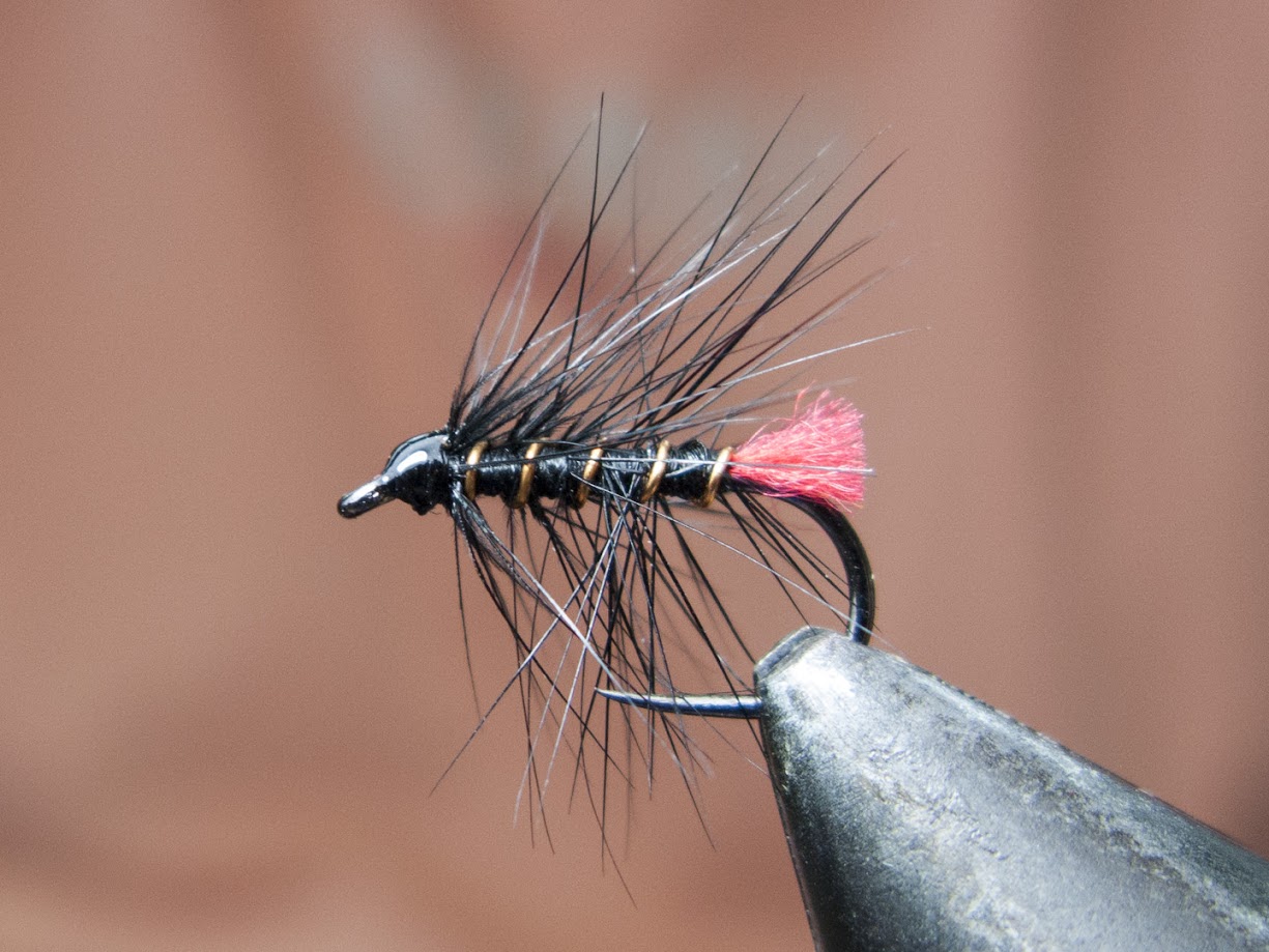 black-zulu-wet-fly Black Zulu - Пенко Стоянов