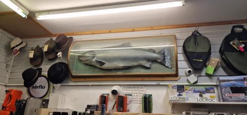 Somers-fishing-tackle-aberdeen-3