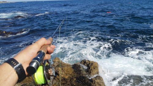 Pike Fly Fishing - Shabla - 2020
