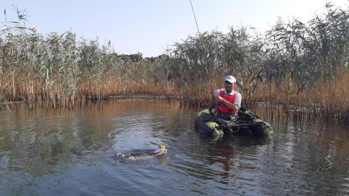 Pike Fly Fishing - Shabla - 2020