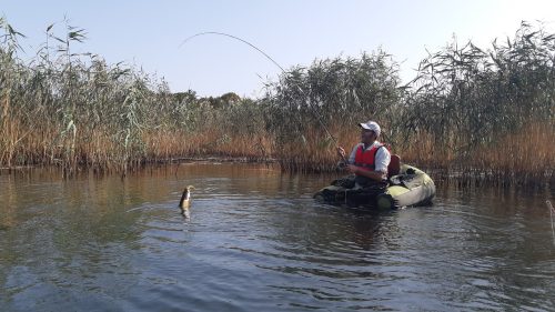 Pike Fly Fishing - Shabla - 2020