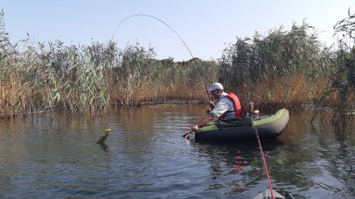 Pike Fly Fishing - Shabla - 2020