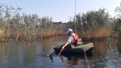 Pike Fly Fishing - Shabla - 2020