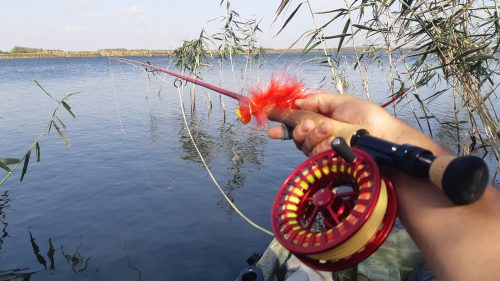 Pike Fly Fishing - Shabla - 2020