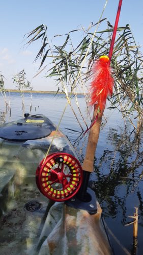 Pike Fly Fishing - Shabla - 2020