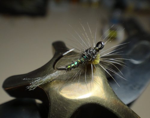 Baetis Emerger-3