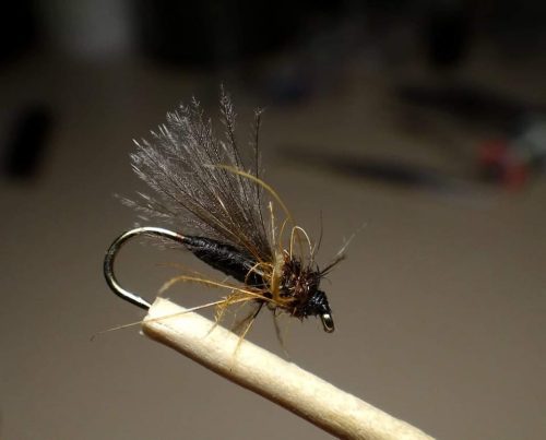 Black Caddis 18
