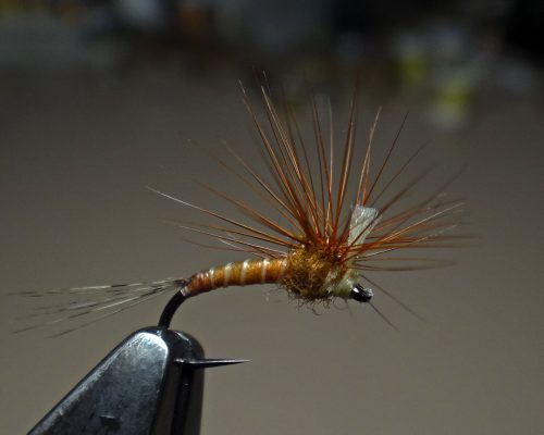 Bob Quigley Stacker Flag LDO 16