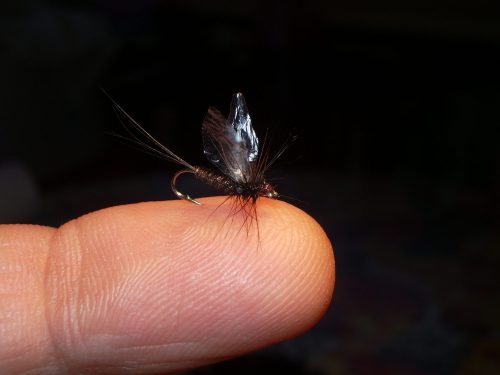 Brown Baetis Spinner 18-1