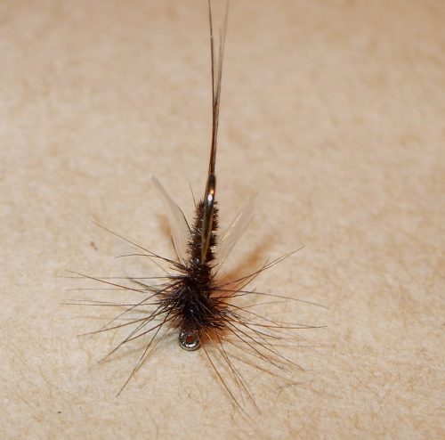 Brown Baetis Spinner 18-3