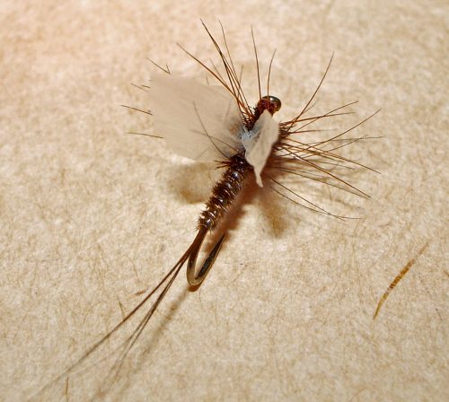 Brown Baetis Spinner 18-4