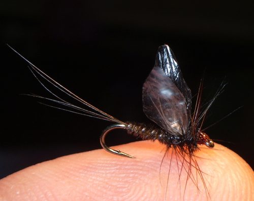 Brown Baetis Spinner 18-5