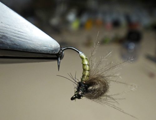 CDC Bubble Emerger 14