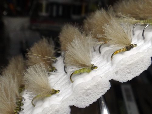 CDC Duns 20