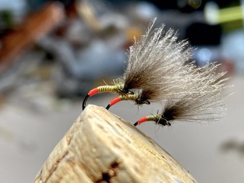 CDC Emergers Hot But №16