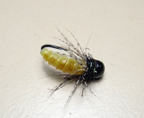 Caddis Nymph-12