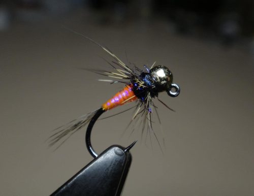 Carrot nymph 16