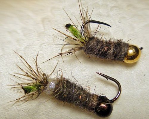 Cased Caddis 10
