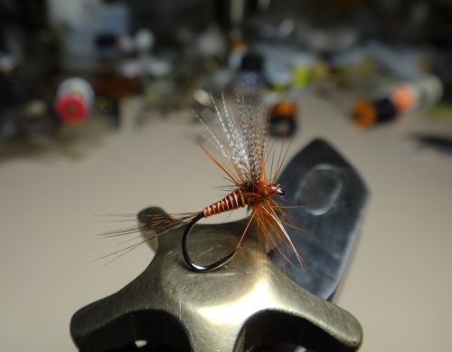 Catskill Style Red Quill 14