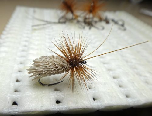 GH Sedge 14