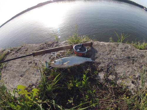 DCIM100GOPRO