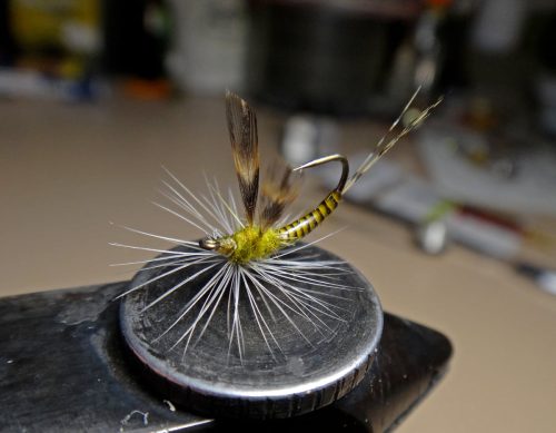 Godart Clark USD Dry Fly-2