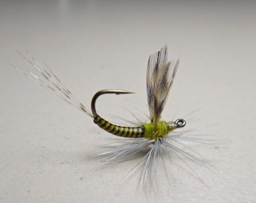 Godart Clark USD Dry Fly-3