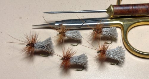 Goddard Henry Sedge 12