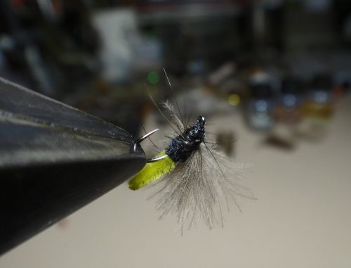 Grannom Caddis-1