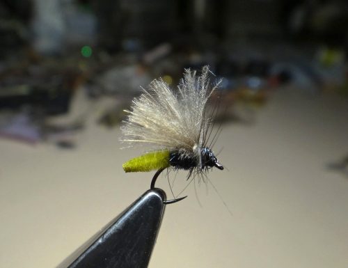 Grannom Caddis-3