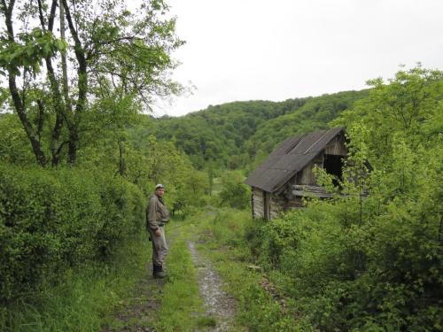 IMG 0142