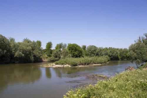 IMG 0741