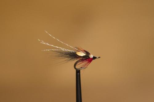 IMG 3185