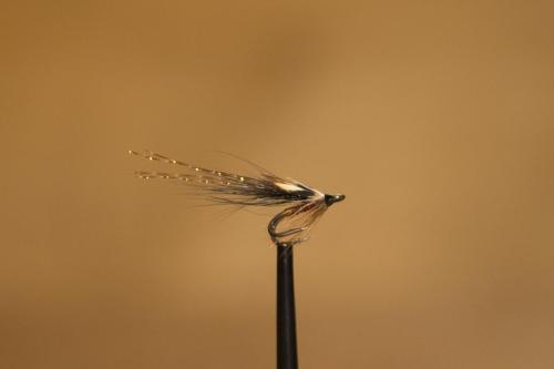 IMG 3186