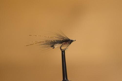IMG 3188