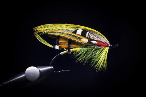 IMG 3914-Green-Highlander