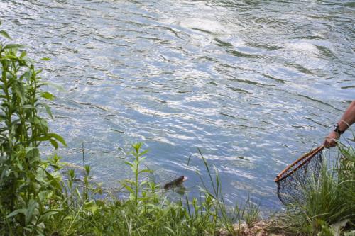 IMG 7000 (1)
