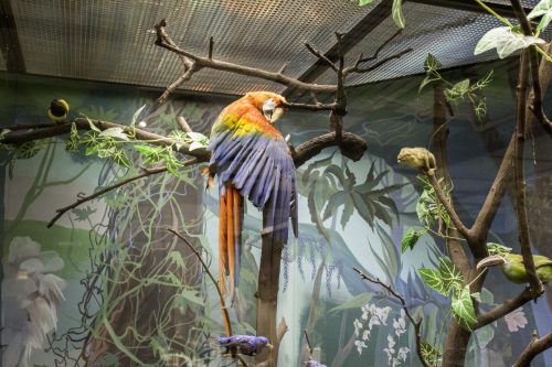 IMG 7478