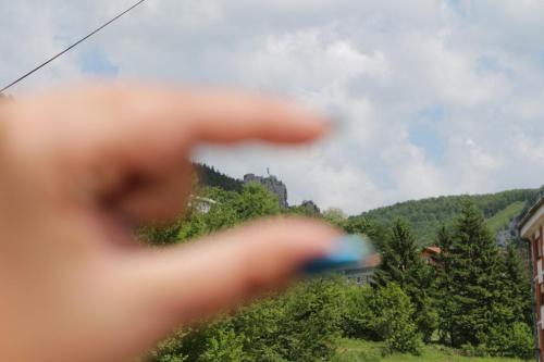 IMG 7795