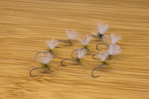IMG 9470 (1)