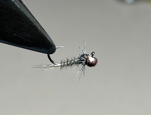 Jigoff Nymph-1