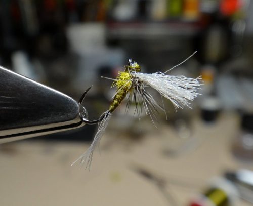 Kenny Morrish BWO 16
