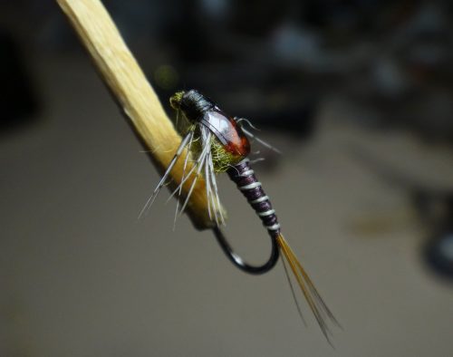 LDO Nymph 14