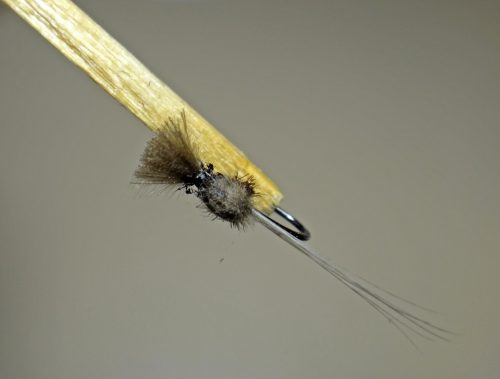 Mighty Midge-2