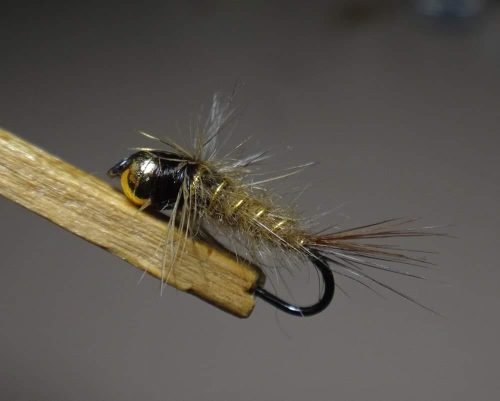 Nymph 18