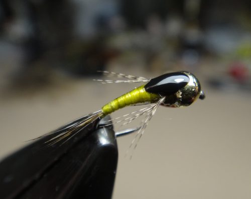 Olive Nymphh 16
